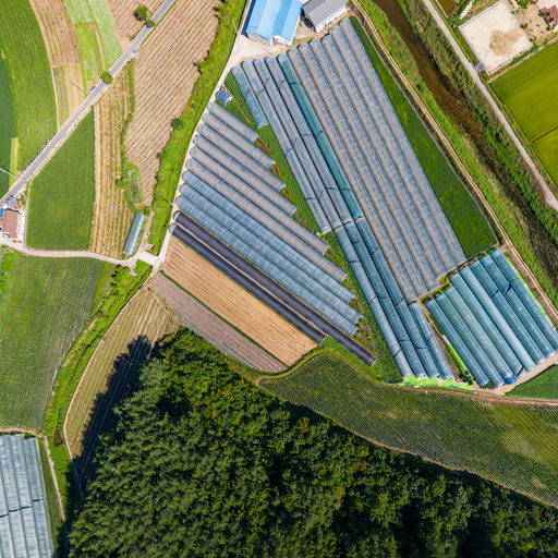 밤나무둥지마을